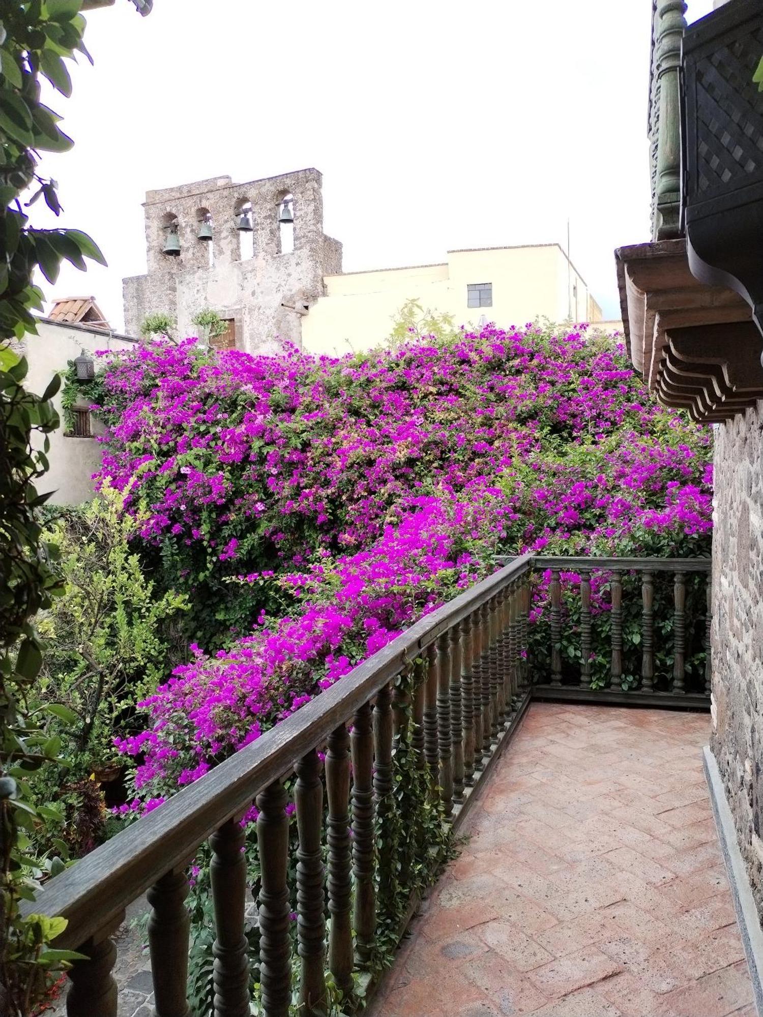 Hacienda Las Amantes ซานมิเกล เด อาเญนเด ภายนอก รูปภาพ