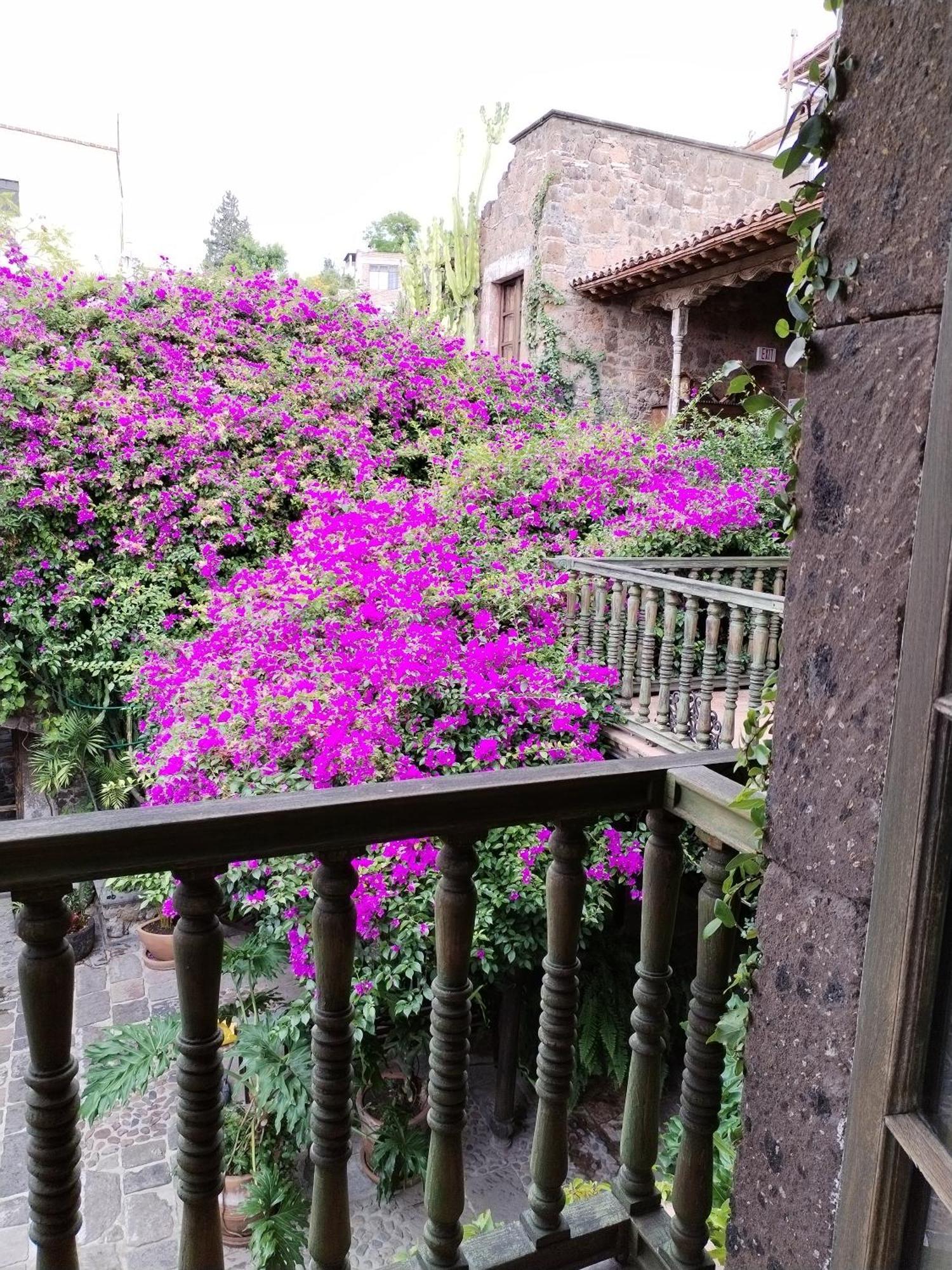 Hacienda Las Amantes ซานมิเกล เด อาเญนเด ภายนอก รูปภาพ
